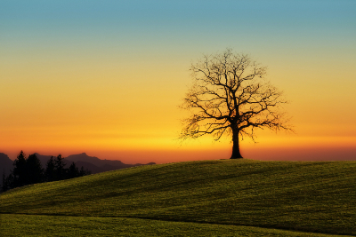 La Solitudine Come Fattore di Rischio